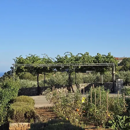Lejlighed Betini - Authentic Island Escape Komiža